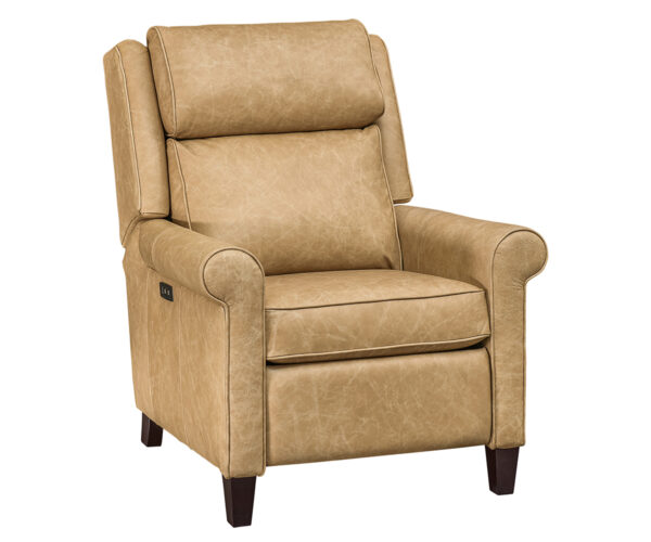 Hudson Recliner With Power Option