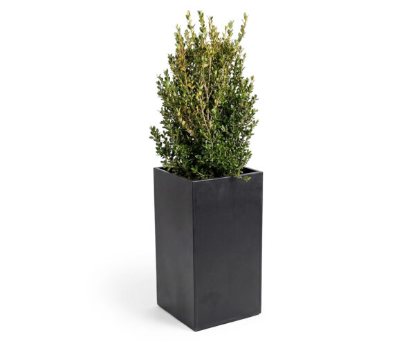 Grand Series Planter